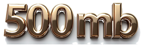 500mb logo